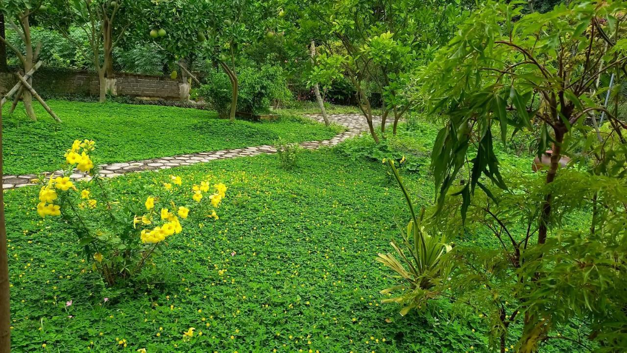 Yen Binh Homestay Ninh Binh Exterior foto