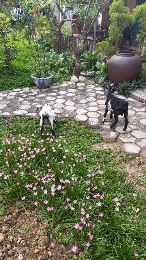 Yen Binh Homestay Ninh Binh Exterior foto