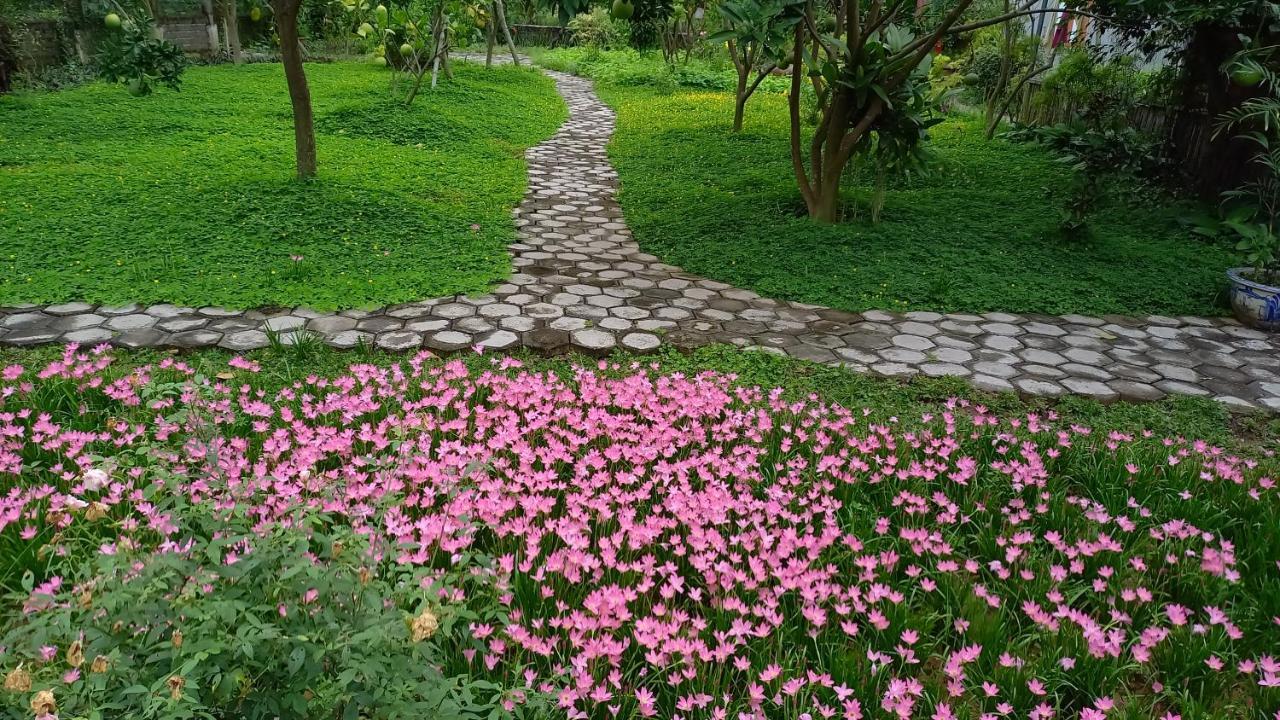 Yen Binh Homestay Ninh Binh Exterior foto
